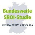 SROI